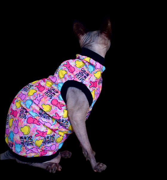 Sphynx Easter Cat Clothes |  Chillin With My Peeps Style