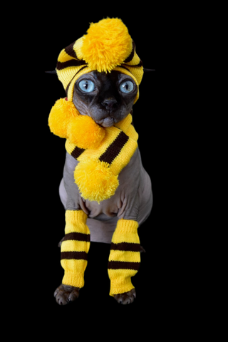 Sphynx Vibes Cat Hat | Scarf | Leg Warmers | Yellow/Black Style