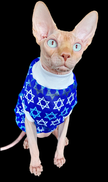 Sphynx Cat Clothes | Blue Star Style