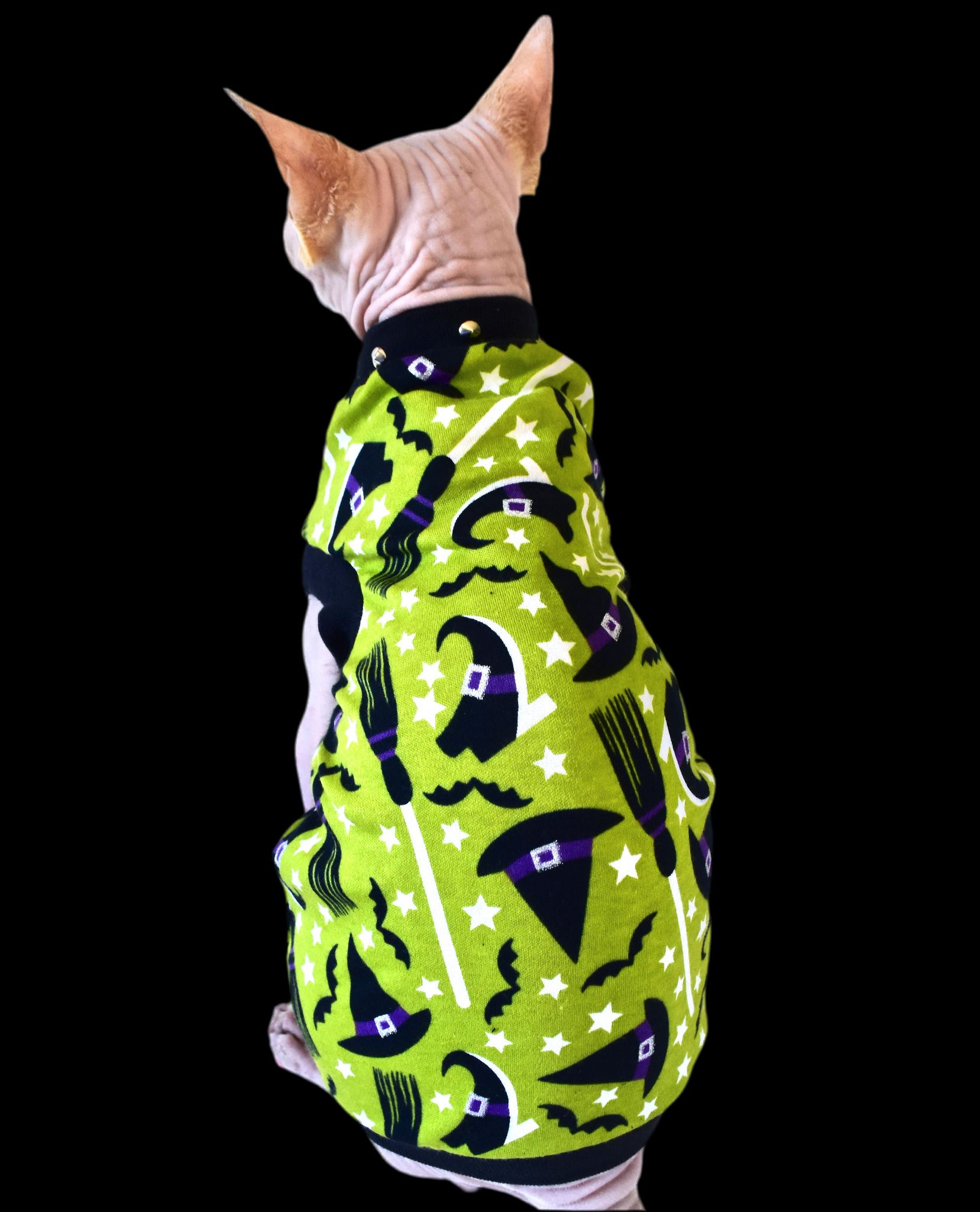 Sphynx Halloween Cat Clothing | Witch Green Style