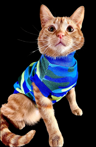 Sphynx Cat Clothes |   Blue Camo