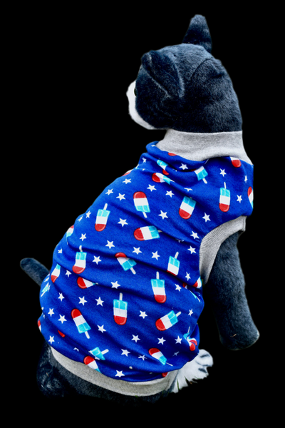 Sphynx Fourth Of July Cat Clothes | Popsicle Style