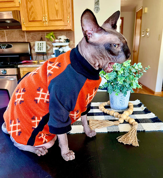 Sphynx Fall Clothes | Southwest Pumpkin Spice Style (Large)
