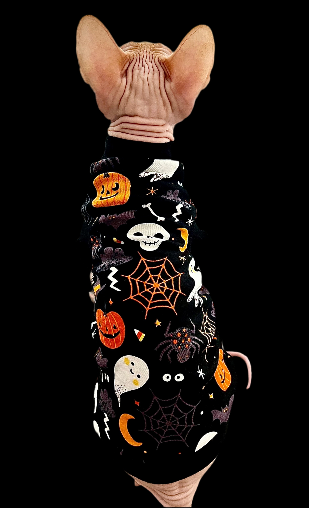 Sphynx Cat Clothes |  Dark Halloween