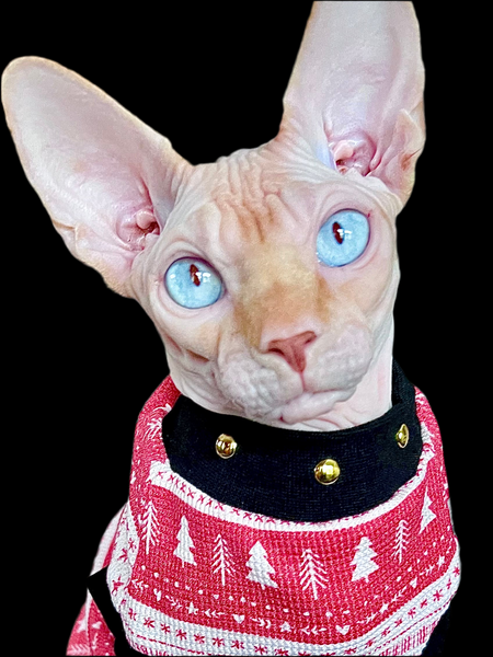 Sphynx Christmas Cat Clothes |  Christmas Thermal Style (Studded Neckline)