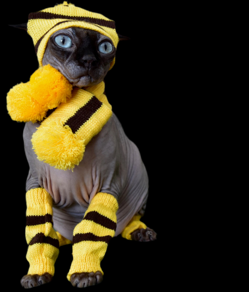 Sphynx Vibes Cat Hat | Scarf | Leg Warmers | Yellow/Black Style