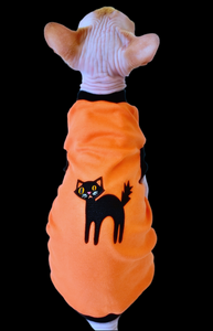 Sphynx Halloween Cat Clothes | Scary Cat Style