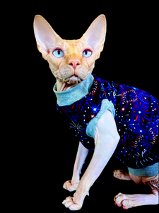 Sphynx Fourth Of July Cat Clothes | Popsicle Style