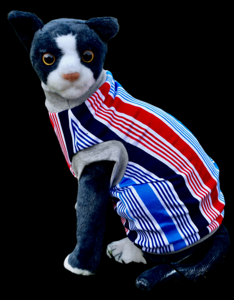 Sphynx Fourth Of July Cat Clothes | American Stripes Style