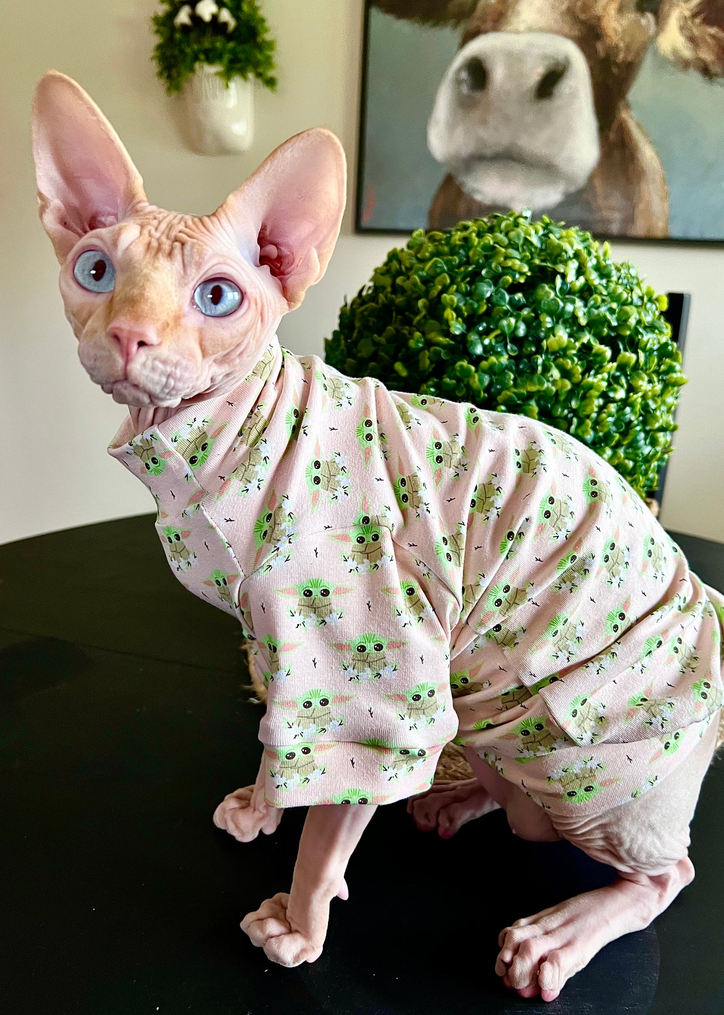 Sphynx Cat Clothes |  BY Long Sleeve Style