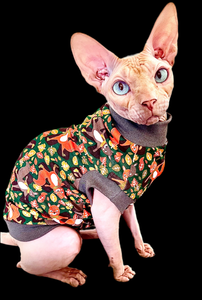 Sphynx Cat Clothes |  Gray Fox