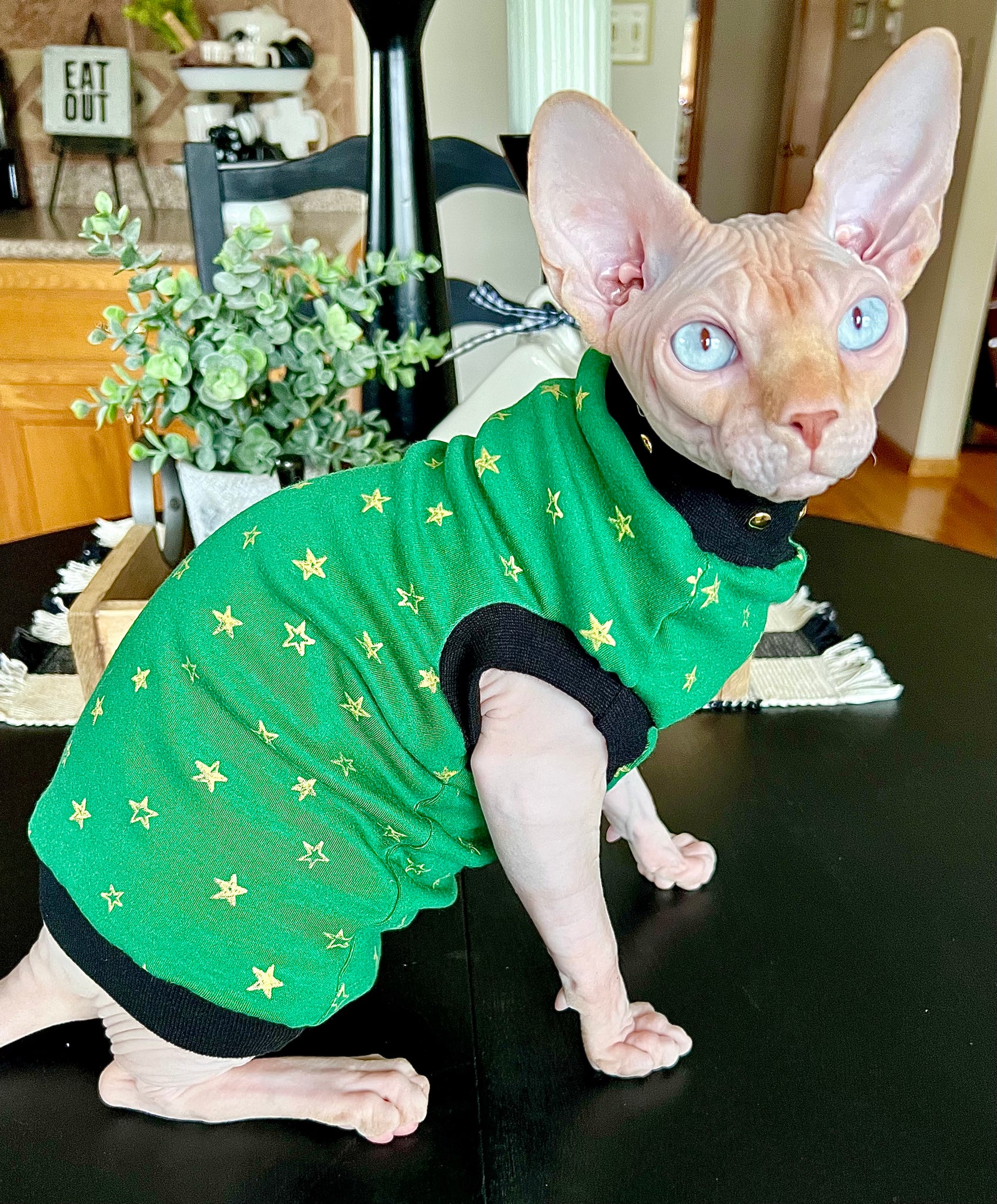 Sphynx Christmas Cat Clothes |  Green Golden Star Style (Studded Neckline)