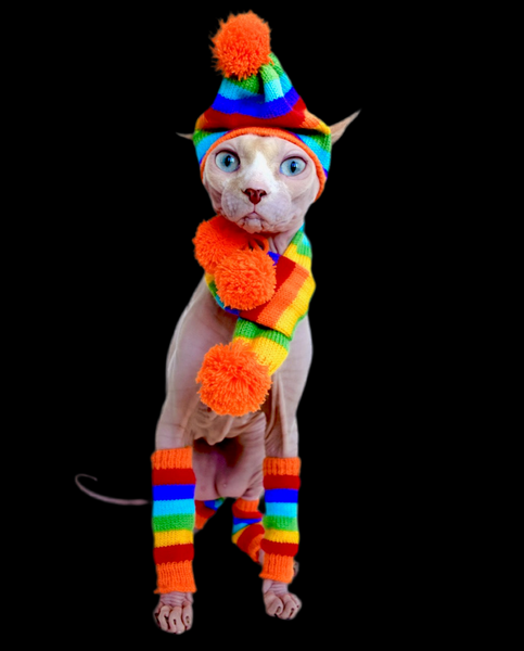 Sphynx Vibes Cat Hat | Scarf | Leg Warmers | Rainbow Style