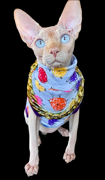 Sphynx Cat Clothes | Rainbow Squishy Style (chain NOT INCLUDED)