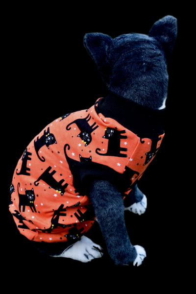 Sphynx Halloween Cat Clothes | Bad Luck Cats Style