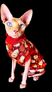 Sphynx Cat Clothes |   Pumpkin Spice Latte