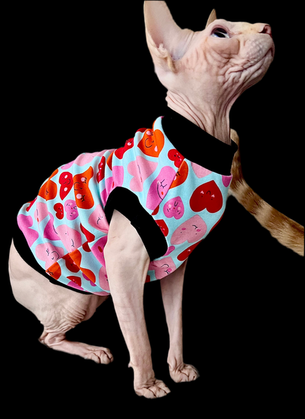 Sphynx Cat Clothes |  Hearts