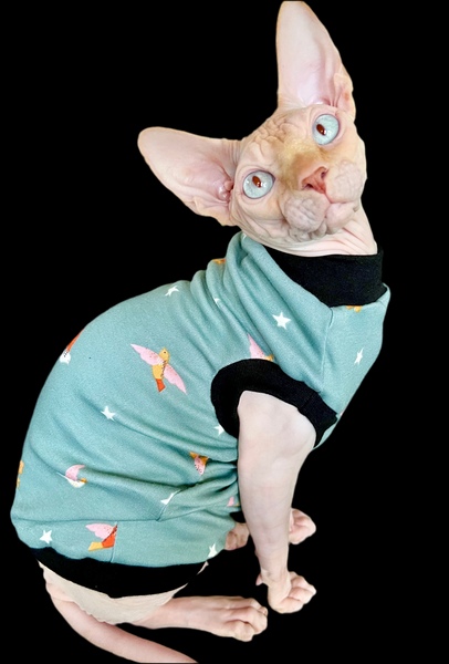 Sphynx Cat Clothes | Bird Watcher Style