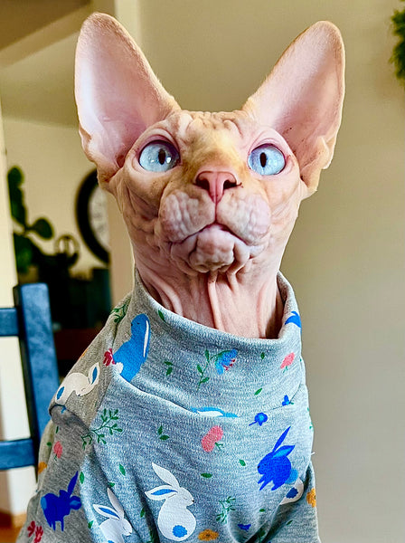 Sphynx Cat Clothes | Bun Bun UV Protecting Fabric