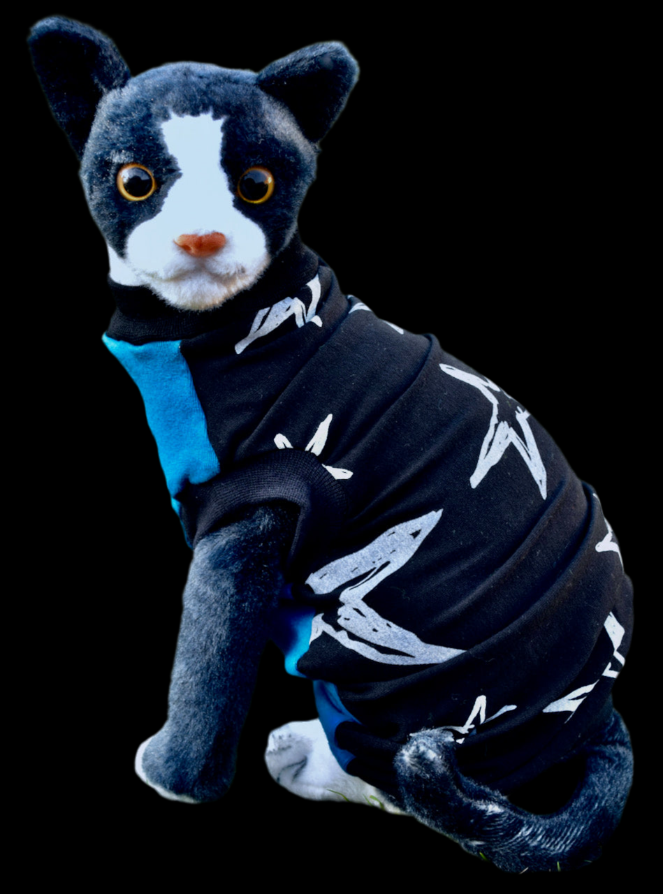 Sphynx Cat Clothes | Black Star Blue Front Style