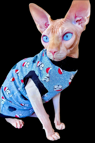 Sphynx Christmas Cat Clothes | Santa Trooper Style