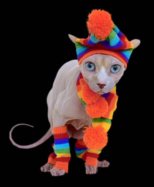 Sphynx Vibes Cat Hat | Scarf | Leg Warmers | Rainbow Style