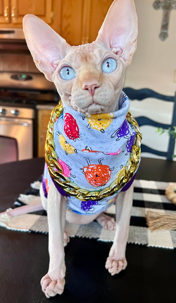 Sphynx Cat Clothes | Rainbow Squishy Style (chain NOT INCLUDED)