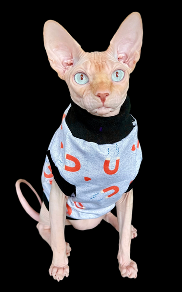 Sphynx Cat Clothes |  Love Magnet Style