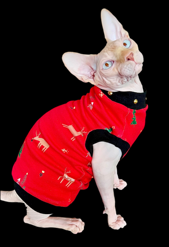 Sphynx Christmas Cat Clothes |  Golden Sparkle Red Christmas Style (Studded Neckline)