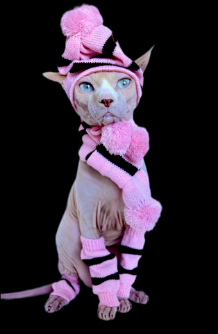 Sphynx Vibes Cat Hat | Scarf | Leg Warmers |  Pink/Black Style