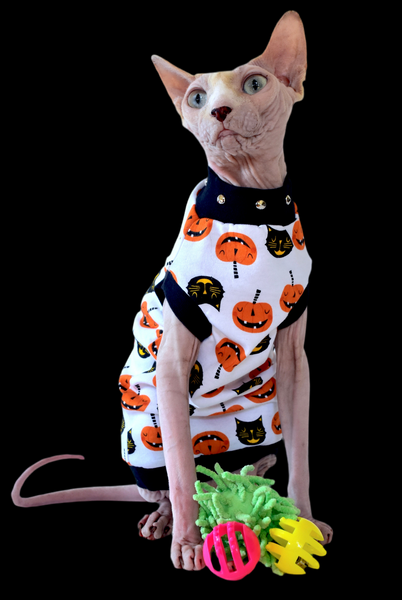 Sphynx Halloween Cat Clothes | Black Cat Pumpkin Cream Style