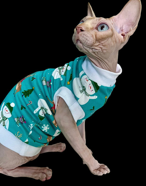 Sphynx Cat Clothes | Teal Snowman