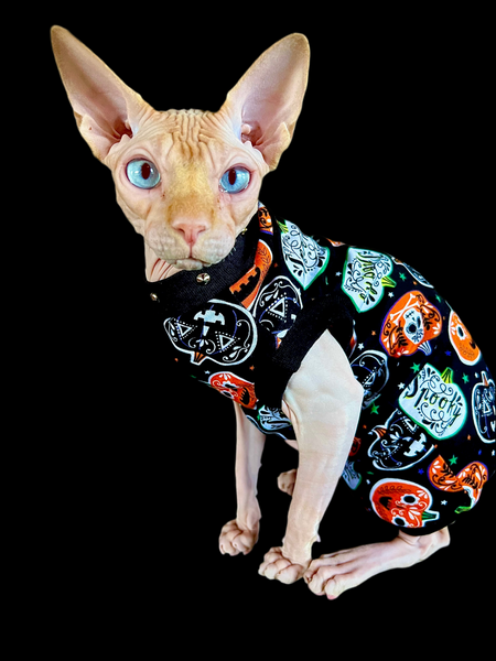 Sphynx Halloween Cat Clothing | Spooky Style