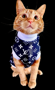 Sphynx Cat Clothes |   LV LUXURY