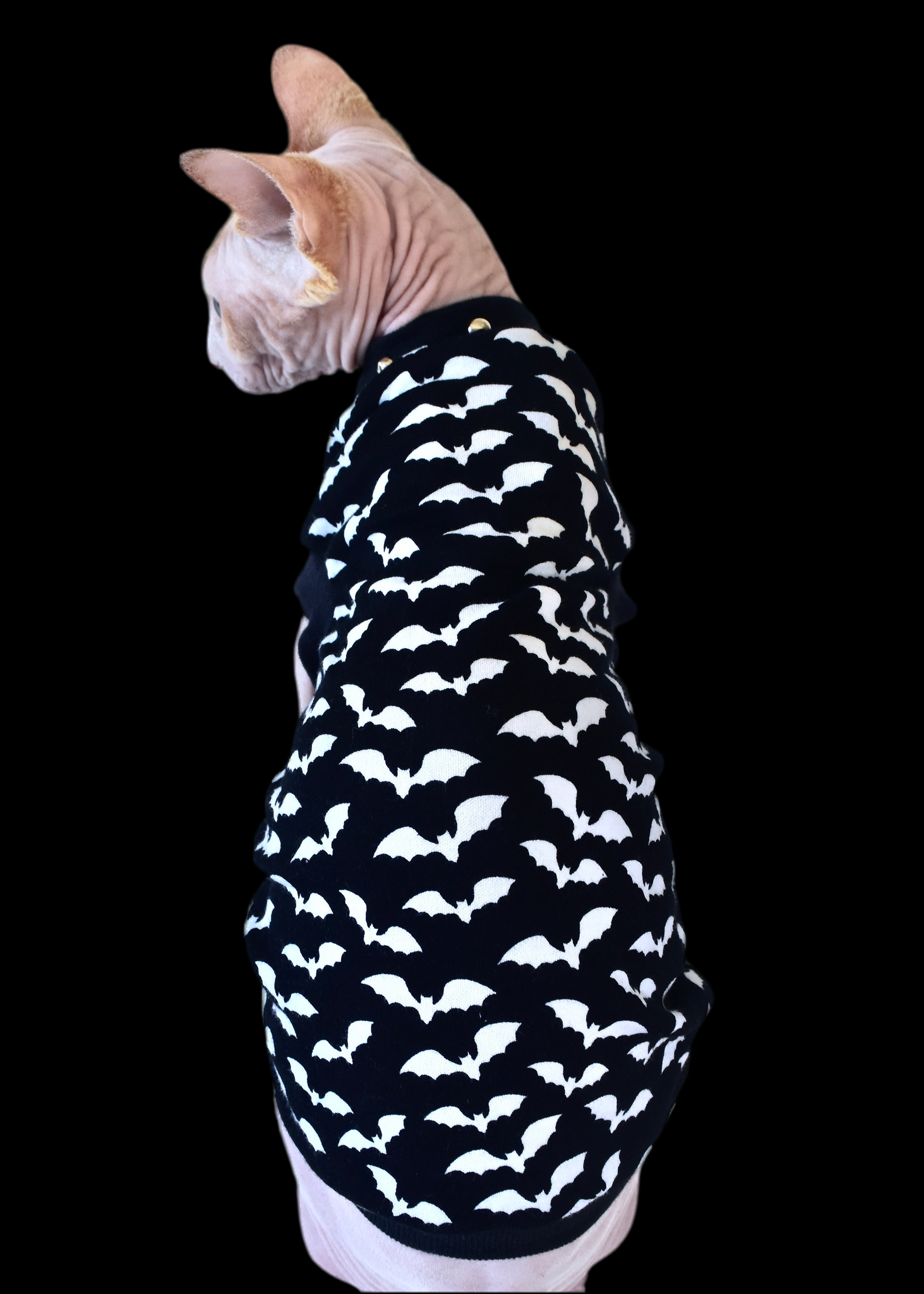 Sphynx Halloween Cat Clothing | Bats Black & White Style