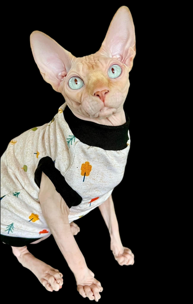 Sphynx Cat Clothes |  Tree Hugger Style