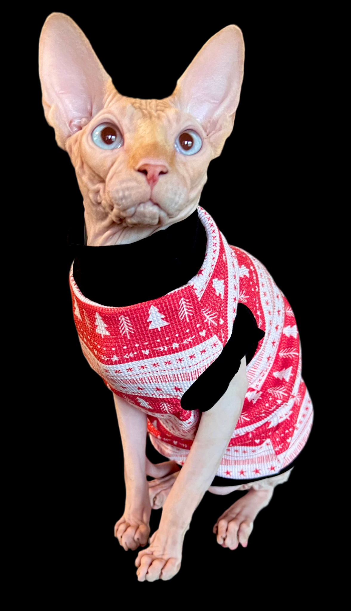 Sphynx Christmas Cat Clothes |  Christmas Thermal Style (No Studs Neckline)