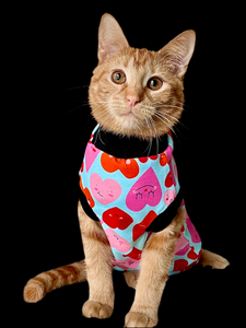 Sphynx Cat Clothes |  Hearts