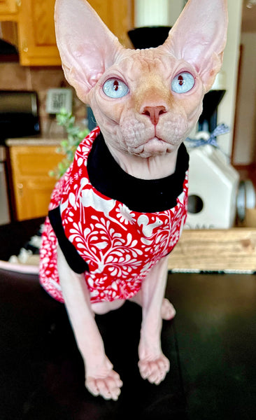 Sphynx Christmas Cat Clothes |  Red Deer Style