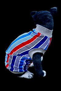 Sphynx Fourth Of July Cat Clothes | American Stripes Style