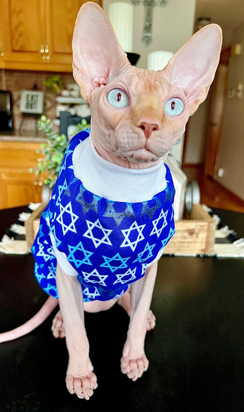 Sphynx Cat Clothes | Blue Star Style