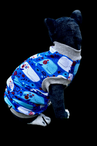 Sphynx Fourth Of July Cat Clothes | Whale Style