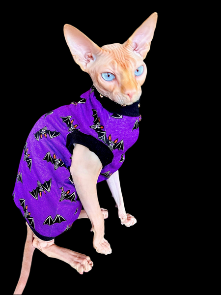 Sphynx Halloween Cat Clothing | Bats Purple Style