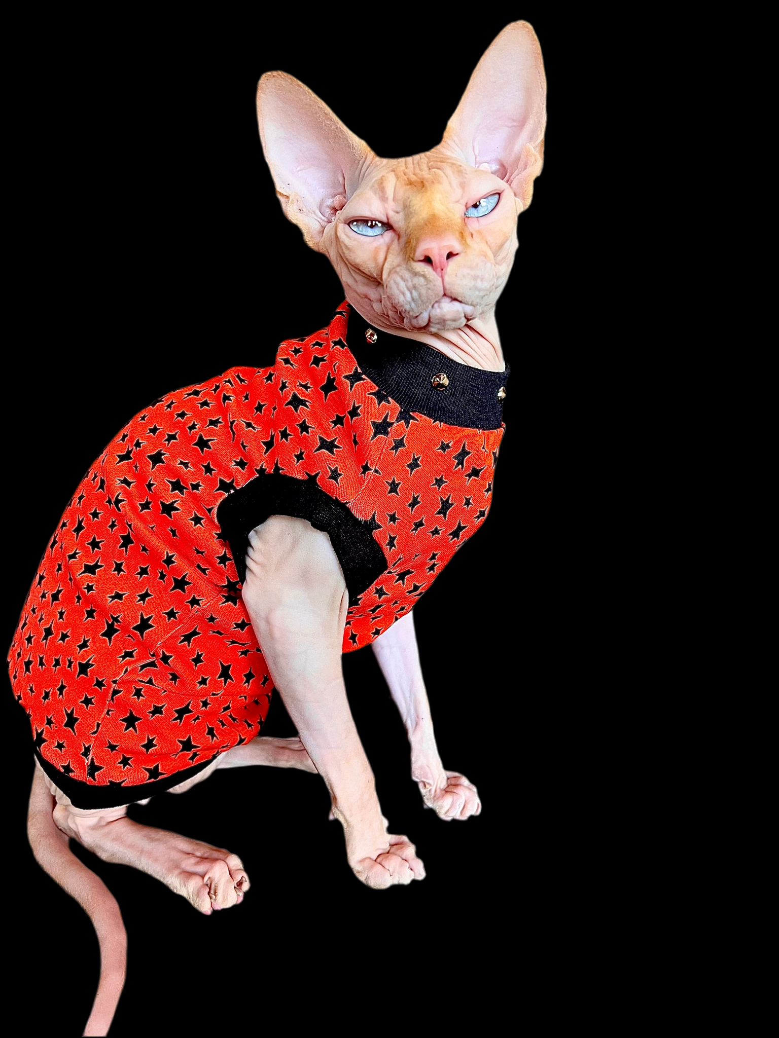 Sphynx Halloween Cat Clothing | Halloween Star Style