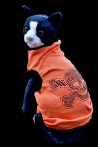 Sphynx Halloween Cat Clothes | Skull Cross Bones Bling Style