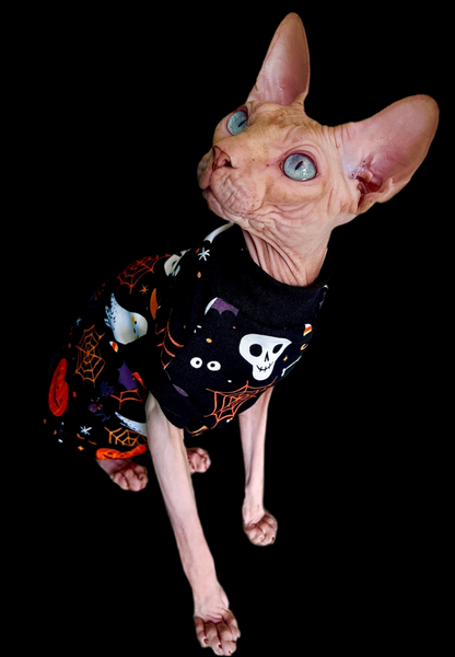 Sphynx Cat Clothes |  Dark Halloween