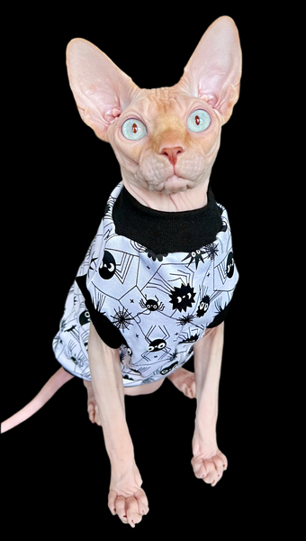 Sphynx Halloween Cat Clothing | Black & White Spider Style