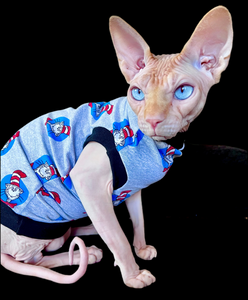 Sphynx Cat Clothes |  HAT