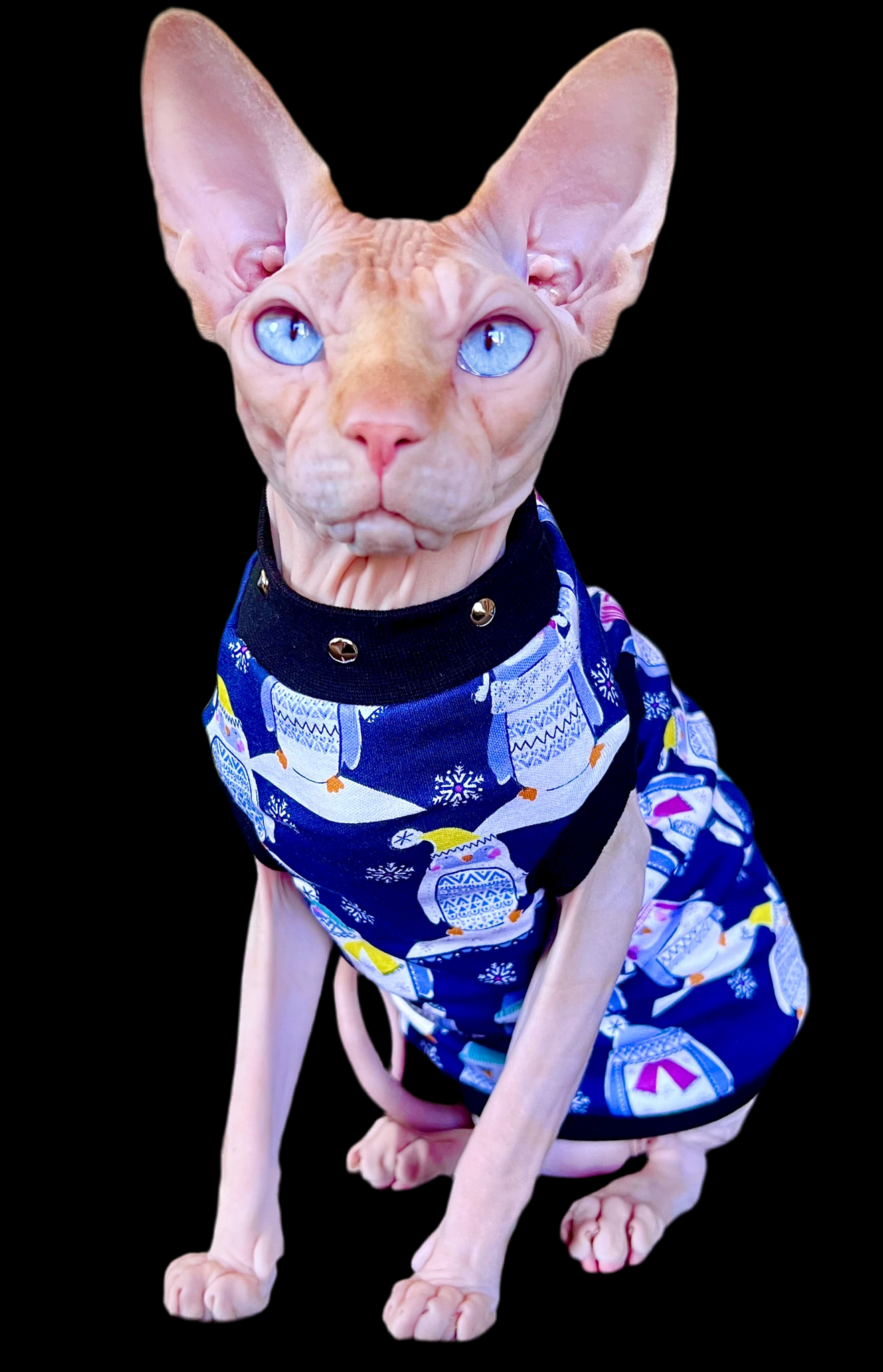 Sphynx Christmas Cat Clothes | Penguins Style