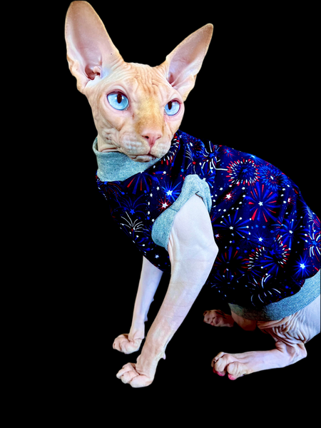 Sphynx Fourth Of July Cat Clothes | Popsicle Style